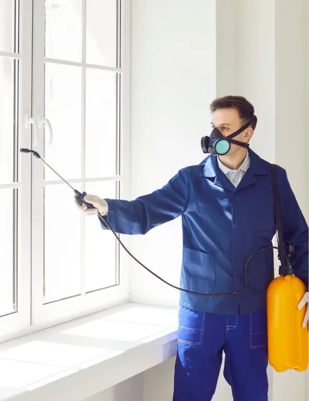 Man from the pest control service sprays insecticide around the house, targeting pests like bugs and termites. This thorough treatment ensures effective insect elimination and protection for the home.