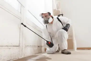 Service de décontamination des moisissures : Un travailleur professionnel pulvérise des produits pour éliminer les moisissures avant de peindre la maison, vêtu d'une combinaison de protection et d'un masque respiratoire, avec un pulvérisateur à dos sur un chantier de rénovation domiciliaire.