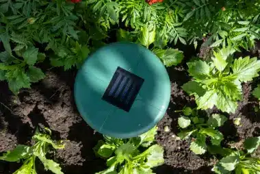 Gros plan sur un répulsif à ultrasons solaire contre les taupes, installé dans le sol d'un massif de fleurs. Son bip sonore éloigne les nuisibles.